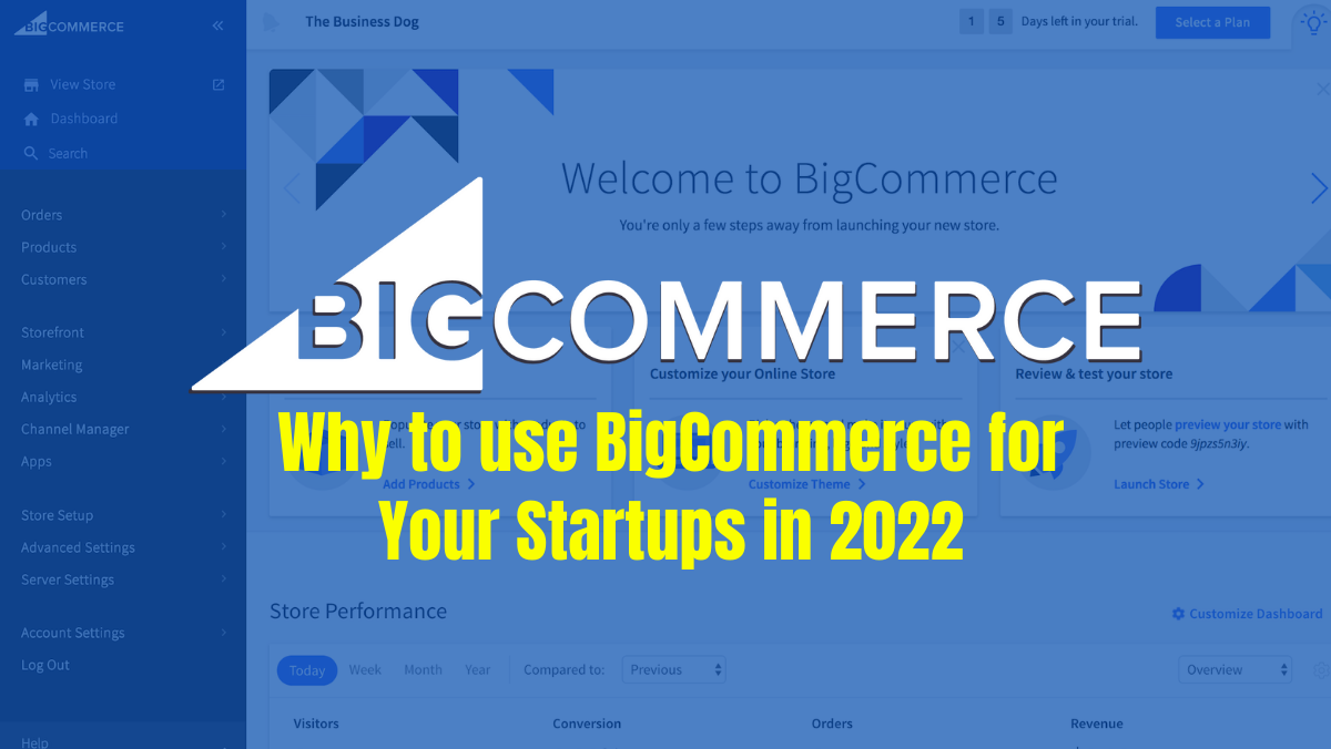BigCommerce: Why to Use BigCommerce for Your Startups in 2022